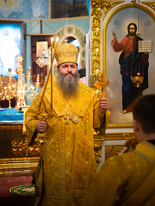 Митрополит Феодосий